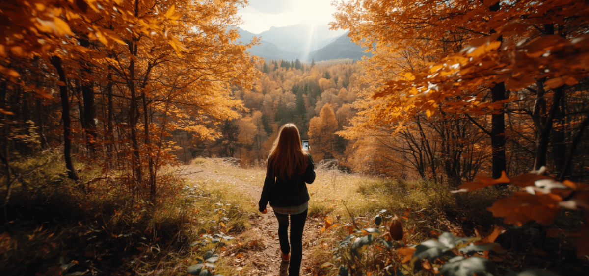 App natura autunno: 5 app per esplorare la natura durante il foliage | Applicazioni.it