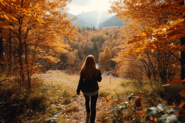 App natura autunno: 5 app per esplorare la natura durante il foliage | Applicazioni.it